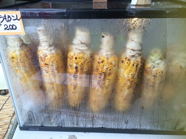 おくやま農園 - 袖崎（その他）の写真