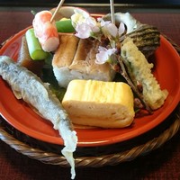 山茶花 - 