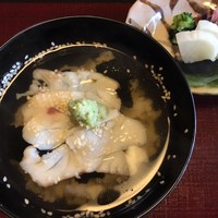 山茶花 - 