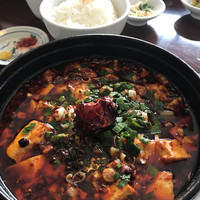 大傳梅梅 - 