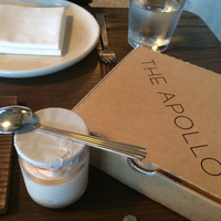 THE APOLLO - 