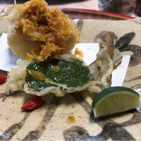 天ぷら 松 - 