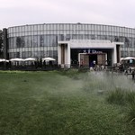 ダードン（北京大董烤鸭店） - 