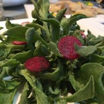 ダードン（北京大董烤鸭店） - 