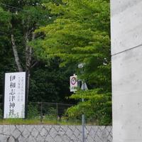 オーベルジーヌ - 