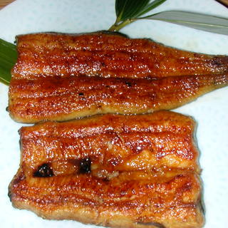 おすすめ単品料理にもご注目！メインや〆、デザートまで充実