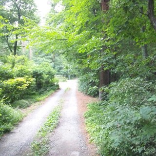 書翰集 安曇野店