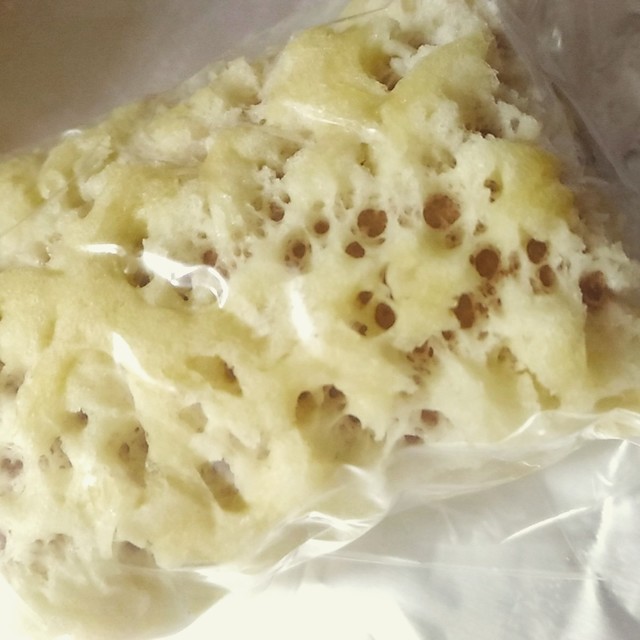 閉店 高橋菓子舗 長沼町その他 和菓子 食べログ