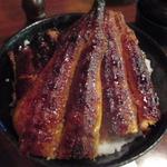 イチビキ - 特上丼ご飯大盛り