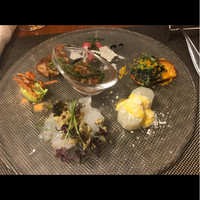 オッジ ダルマット 西麻布店 - 