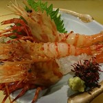 Demon shrimp (from Ishikawa Prefecture)