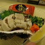 Rock oyster (Tamahime) from Ishikawa Prefecture