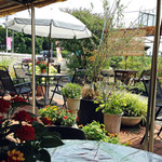 いちごカフェ - カフェの夏