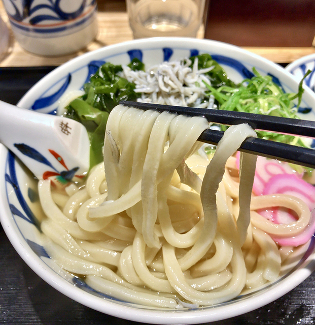 Sanuki Udon Mugifuku photo 2