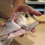 味あら井 - 目一鯛