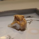 味あら井 - 大分ヤリイカと愛媛の雲丹