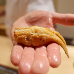 寿しの吉乃 - 穴子 塩