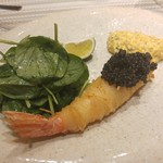 SUGALABO - 北海道 牡丹海老 キャビア