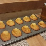 SUGALABO - 萩 石見空港はちみつのマドレーヌ