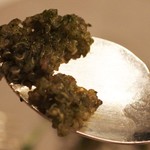 ジャンカルド - スーパーフードのキヌア