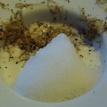 ジャンカルド - カリフラワーの冷製スープ　胡椒の泡　サマートリュフがけ