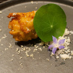 カモシヤ クスモト - 