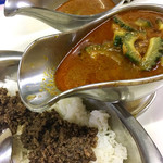 かれーの店 うどん  - 季節の夜かれー　ゴーヤ