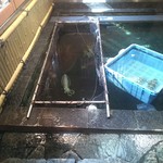 博多料亭 稚加榮 - イカさんがお出迎え。