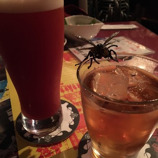 アニマアニムス_1