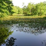 ペンション ハイネ - 大沼国定公園