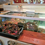 Union Oyster House - 店内ロブスターの生け簀