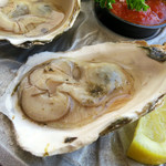 Lobster Pot - Oysters on the Half Shell