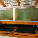 Lobster Pot - 生け簀