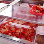 カサイ商店 - 