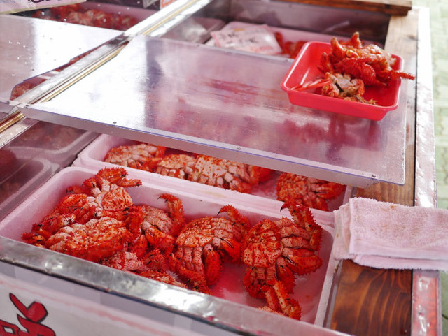 はなさきに、、、にんじん！、、、オヤジ、、、謀ったなぁ～～～ : カサイ商店の写真