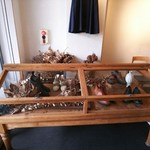 クラゲストア - 店内