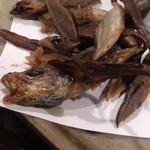 大衆酒場 文太 - 幻魚