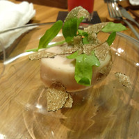 ecco - 