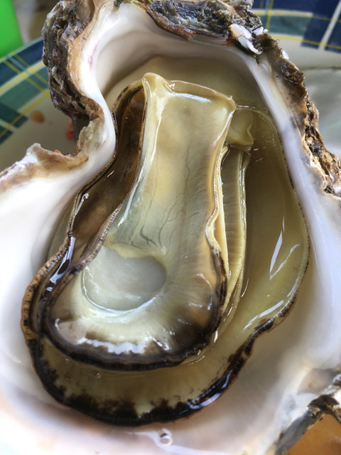 さざ波 賢島 魚介料理 海鮮料理 食べログ さざ波 賢島 魚介料理 海鮮料理 食べログ