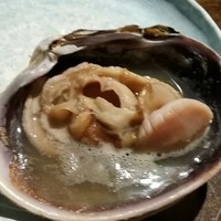 はまじま - 大アサリ