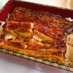 Unagi Yanagi - 