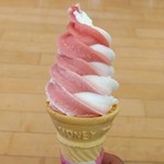 森林公園温泉 きよら - ソフトクリーム･ミックス（260円）