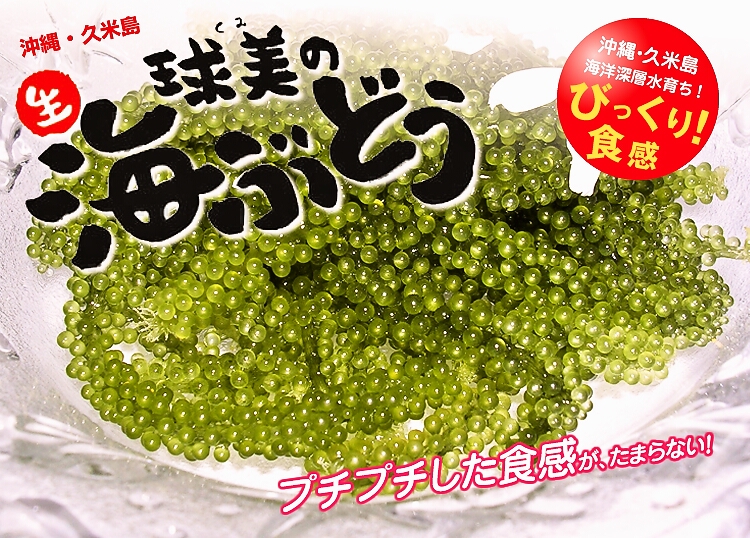 京琉酒彩　海月