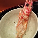 小笹寿し - 車エビの頭の炙り