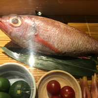 のどぐろ専門 銀座 中俣 - 