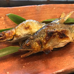 菊乃井 - 焼物:鮎の塩焼き