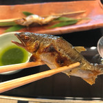 菊乃井 - 品のいい鮎の顔