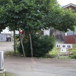 そば打ち幸甚 - 裏にもＰありと。