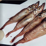 俺の魚を食ってみろ!! 神田本店 - 