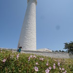 Kakitani Shouten - かつては東洋一の高さの灯台といわれていましたが、どこかに高い灯台が出来たらしく東洋一ではなくなり